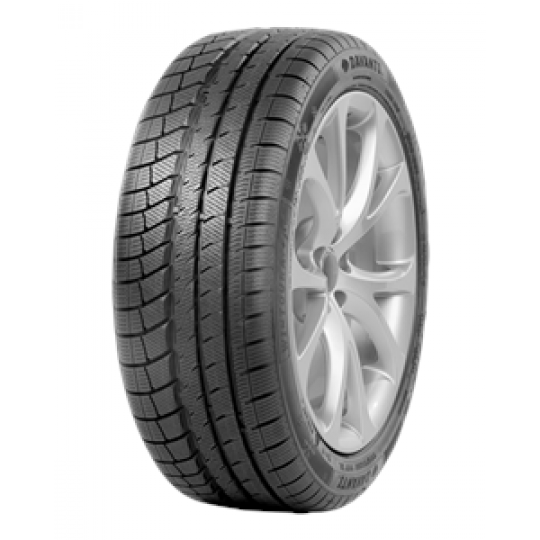 Padangos DAVANTI WINTOURA+ 195/50 R16 XL 88 H