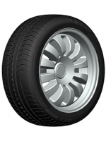 Padangos DOUBLE COIN DC100 205/50 R17 XL DC 93 W