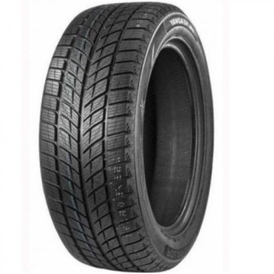 Padangos DOUBLESTAR WINTERKING DW09 215/55 R18 95 H