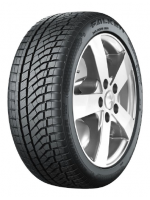 Padangos FALKEN EUROWINTER HS02 PRO 225/50 R17 XL 98 V