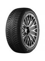 Padangos GITI GITIWINTER W2 205/55 R16 91 T