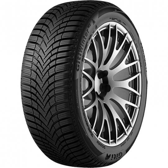 Padangos GITI GITIWINTER W2 205/55 R16 91 T