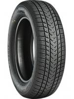 Padangos GRIPMAX SUREGRIP E WINTER 205/55 R17 XL 95 V