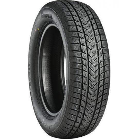 Padangos GRIPMAX SUREGRIP E WINTER 205/40 R17 XL 84 V