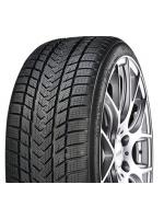 Padangos GRIPMAX SUREGRIP (STATUS) PRO WINTER 205/55 R17 XL 95 V