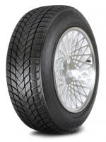 Padangos LANDSAIL WINTER LANDER 205/60 R16 XL 96 H