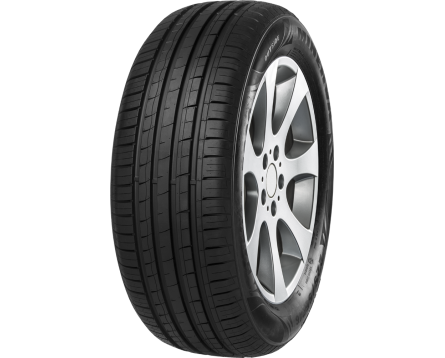 Padangos MINERVA F209 185/70 R14 88 H