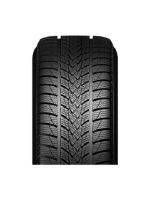 Minerva 225/55 R17 97H Frostrack UHP