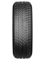 Padangos Paxaro 215/50 R17 95V XL Inverno  FR