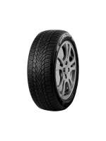 Padangos ROADMARCH WINTERO 888 205/50 R17 XL 93 H