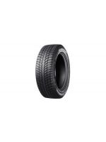 Padangos WINRUN ICE ROOTER WR66 245/45 R19 XL 102 V